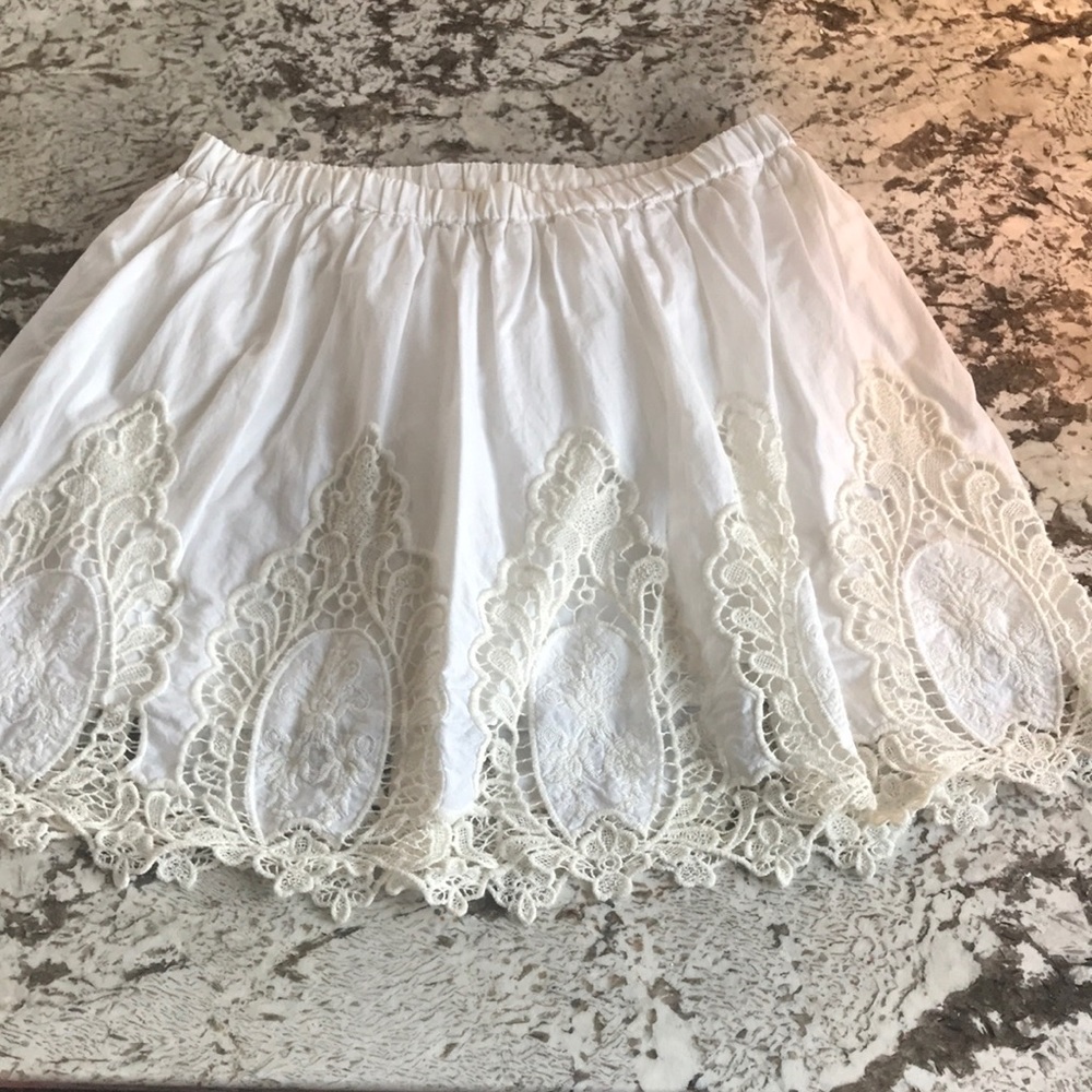 Hinge skirt